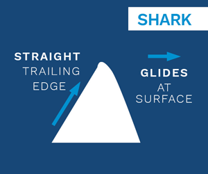 Shark Fin Guide