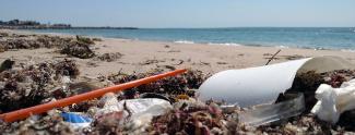 Trash on Beach