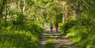 Hiking Trail