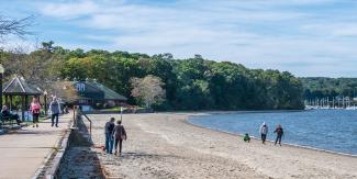 Beach area at Goddard Memorial State Park