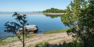 Vibrant green trees reflect off the still ocean waters at the John H Chafee Preserve